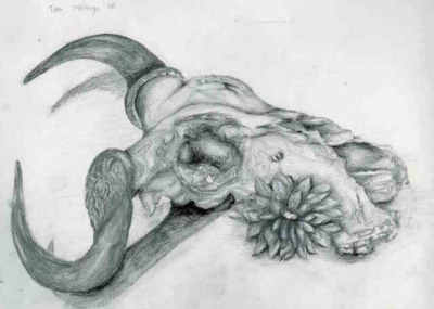 doc01892620150602103700_001